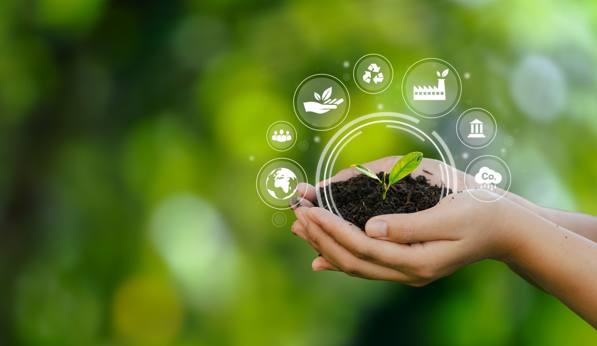 human hand holding green environmental tree ESG icon Society and Governance sustainable environmental concept of the world